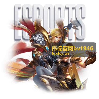 伟德官网bv1946 新用户资料填写与验证流程